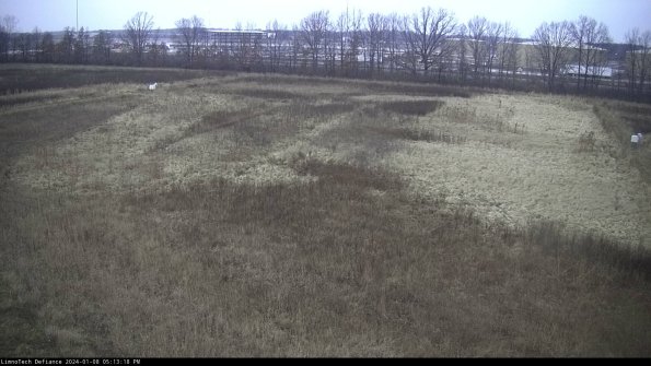 Cell 3_24-01-08_17-13-18-61