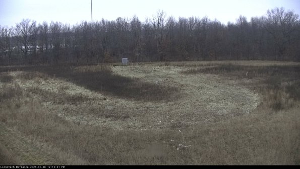 Cell 4_24-01-08_12-12-21-61