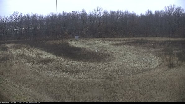 Cell 4_24-01-08_15-33-17-62