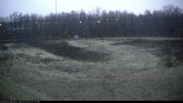 Cell 4_24-01-08_17-47-15-61