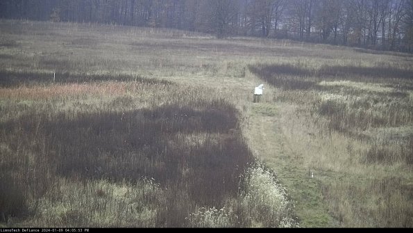 Cell 1 to 2_24-01-09_16-05-53-63