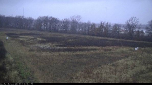 Cell 2_24-01-09_17-13-07-61