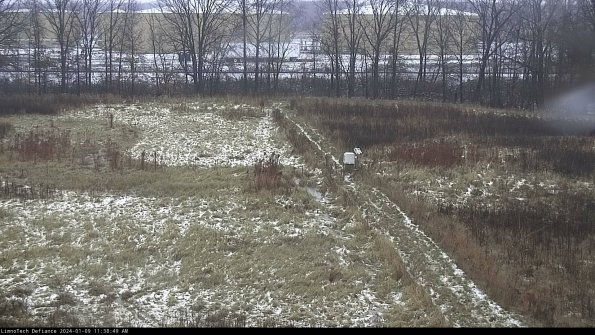 Cell 3 to 4_24-01-09_11-38-49-63