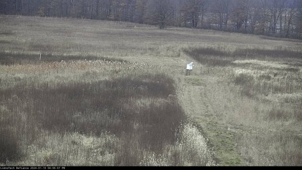 Cell 1 to 2_24-01-10_16-06-07-62