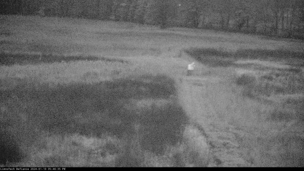 Cell 1 to 2_24-01-10_17-46-35-63