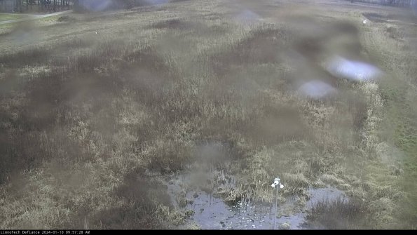 Cell 1_24-01-10_09-57-28-63