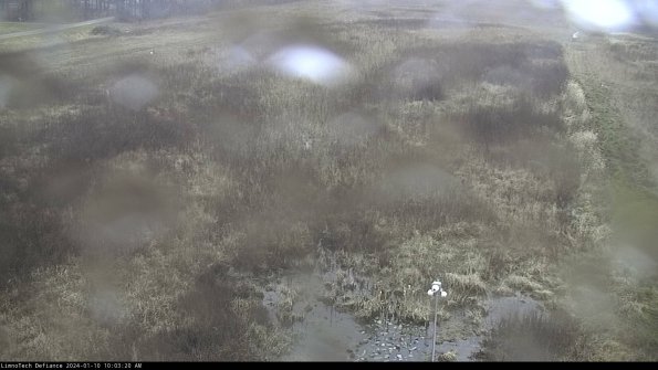 Cell 1_24-01-10_10-03-20-71