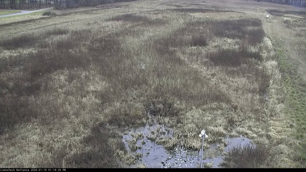 Cell 1_24-01-10_13-18-26-61