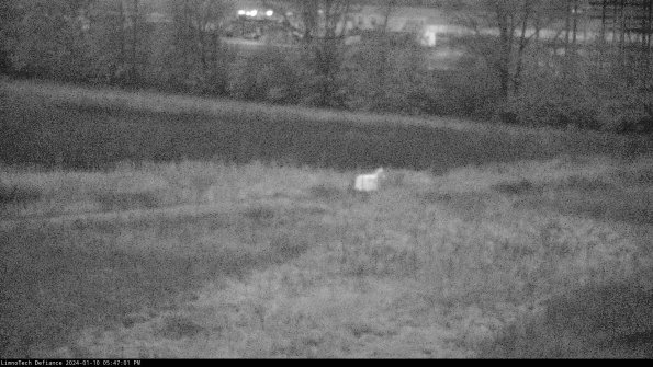 Cell 2 to 3_24-01-10_17-47-01-79