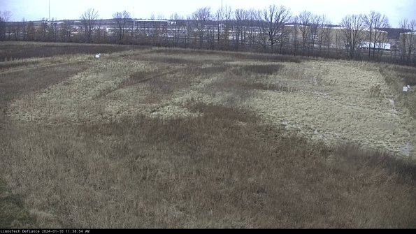 Cell 3_24-01-10_11-38-54-63