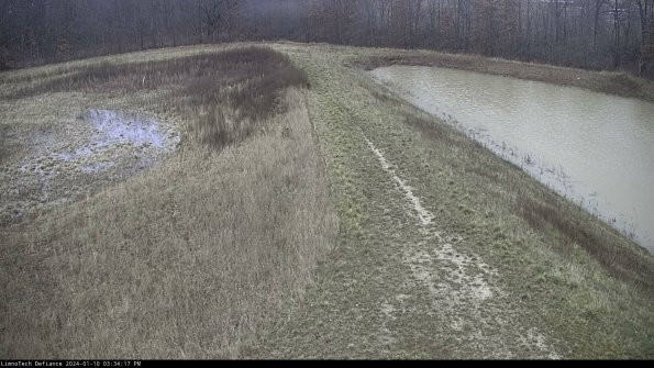 Cell 4 to Basin_24-01-10_15-34-17-61