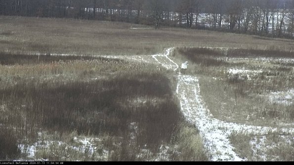 Cell 1 to 2_24-01-13_11-04-54-60