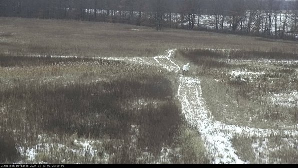 Cell 1 to 2_24-01-13_14-25-50-61