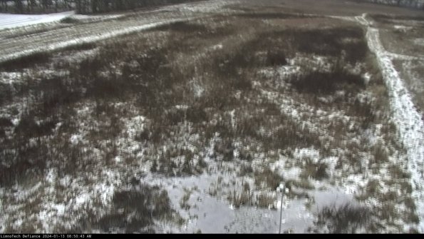 Cell 1_24-01-13_08-50-43-64