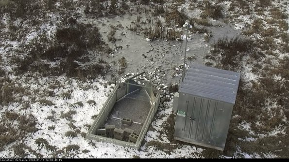 Flume_24-01-13_16-05-49-62