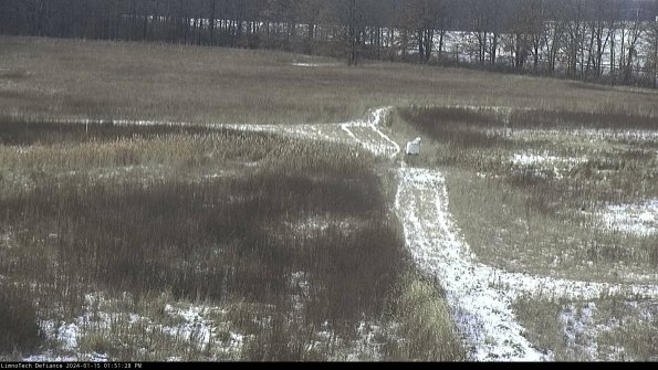 Cell 1 to 2_24-01-15_13-51-28-92