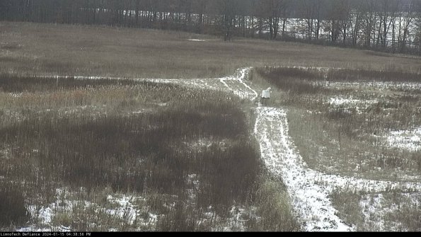 Cell 1 to 2_24-01-15_16-38-56-95