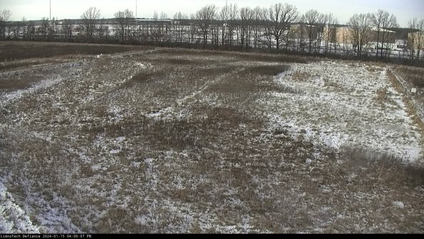 Cell 3_24-01-15_16-06-07-94