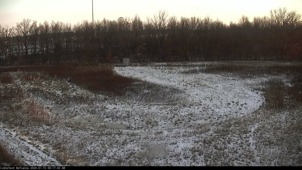 Cell 4_24-01-15_08-17-43-92