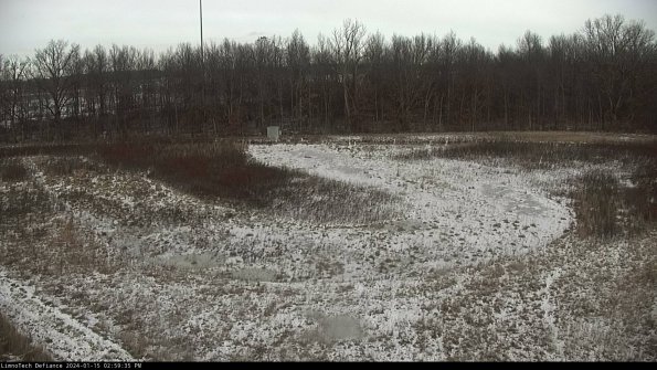 Cell 4_24-01-15_14-59-35-95