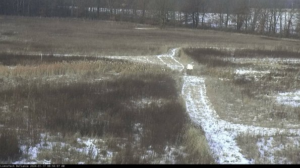 Cell 1 to 2_24-01-17_08-50-07-91