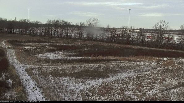 Cell 2_24-01-17_08-50-20-96