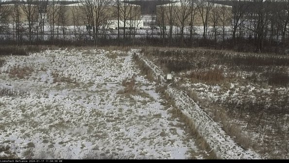 Cell 3 to 4_24-01-17_11-04-58-93