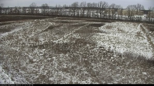 Cell 3_24-01-17_12-11-43-91