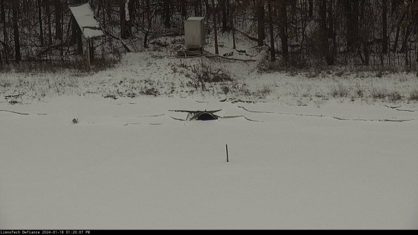 Basin Inflow_24-01-18_13-20-08-11