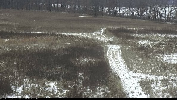 Cell 1 to 2_24-01-18_14-25-00-91