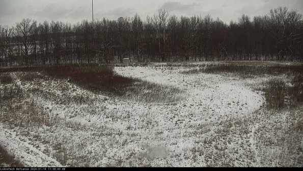 Cell 4_24-01-18_11-38-43-92