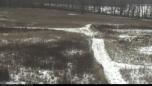 Cell 1 to 2_24-01-19_16-05-29-91