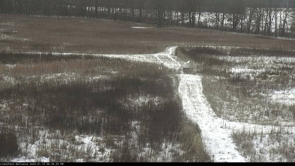 Cell 1 to 2_24-01-19_16-38-59-95