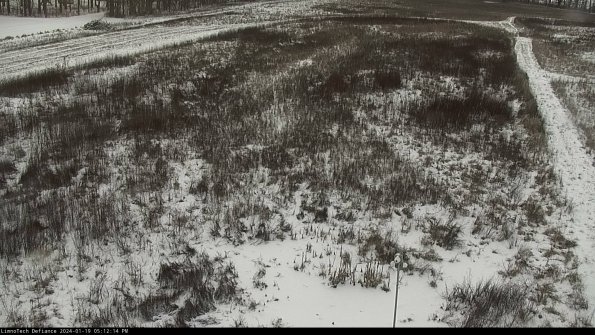 Cell 1_24-01-19_17-12-14-92