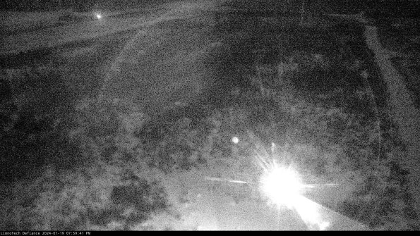 Cell 1_24-01-19_19-59-41-93