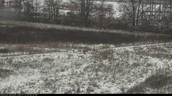 Cell 2 to 3_24-01-19_08-50-32-99