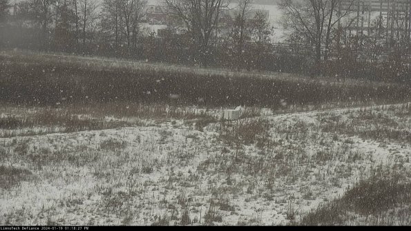 Cell 2 to 3_24-01-19_13-18-28-06