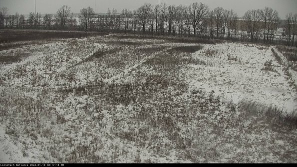 Cell 3_24-01-19_08-17-18-93