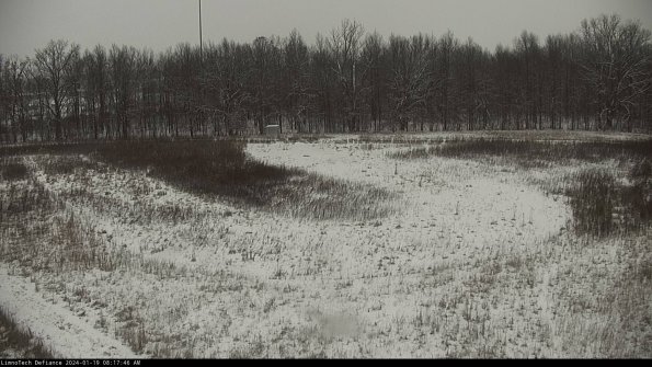 Cell 4_24-01-19_08-17-46-92