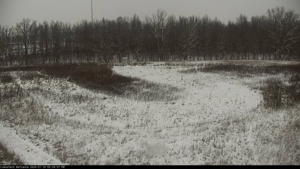 Cell 4_24-01-19_14-59-37-95