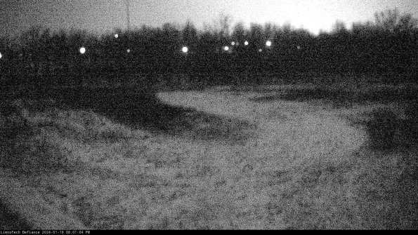 Cell 4_24-01-19_20-01-04-91