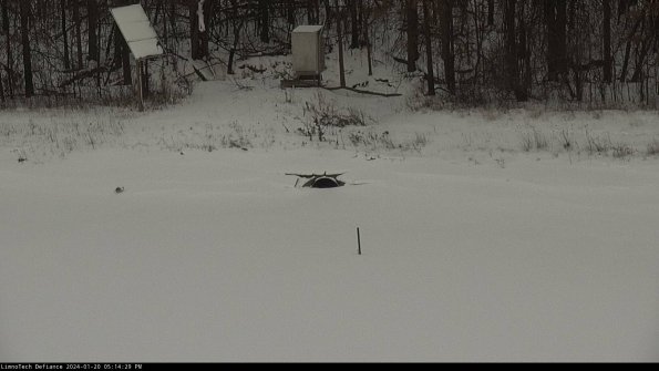 Basin Inflow_24-01-20_17-14-30-09