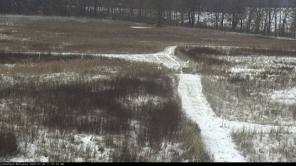 Cell 1 to 2_24-01-20_11-37-32-92