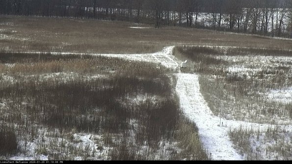 Cell 1 to 2_24-01-20_13-18-00-94