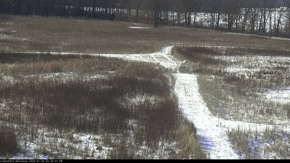 Cell 1 to 2_24-01-20_14-24-57-93