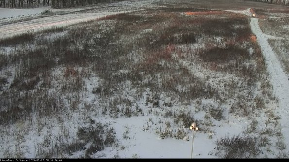 Cell 1_24-01-20_08-16-24-91