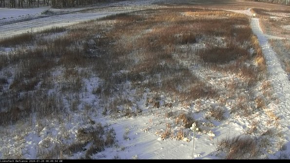 Cell 1_24-01-20_08-49-54-95