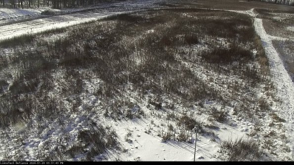 Cell 1_24-01-20_15-31-43-91