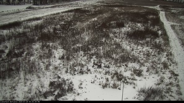 Cell 1_24-01-20_17-45-39-93