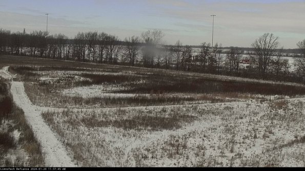 Cell 2_24-01-20_11-37-45-94